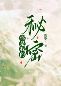 你是我的秘密小说