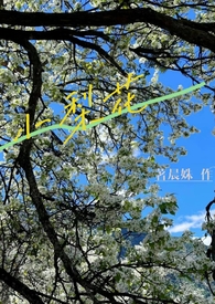 心率和血氧和压力